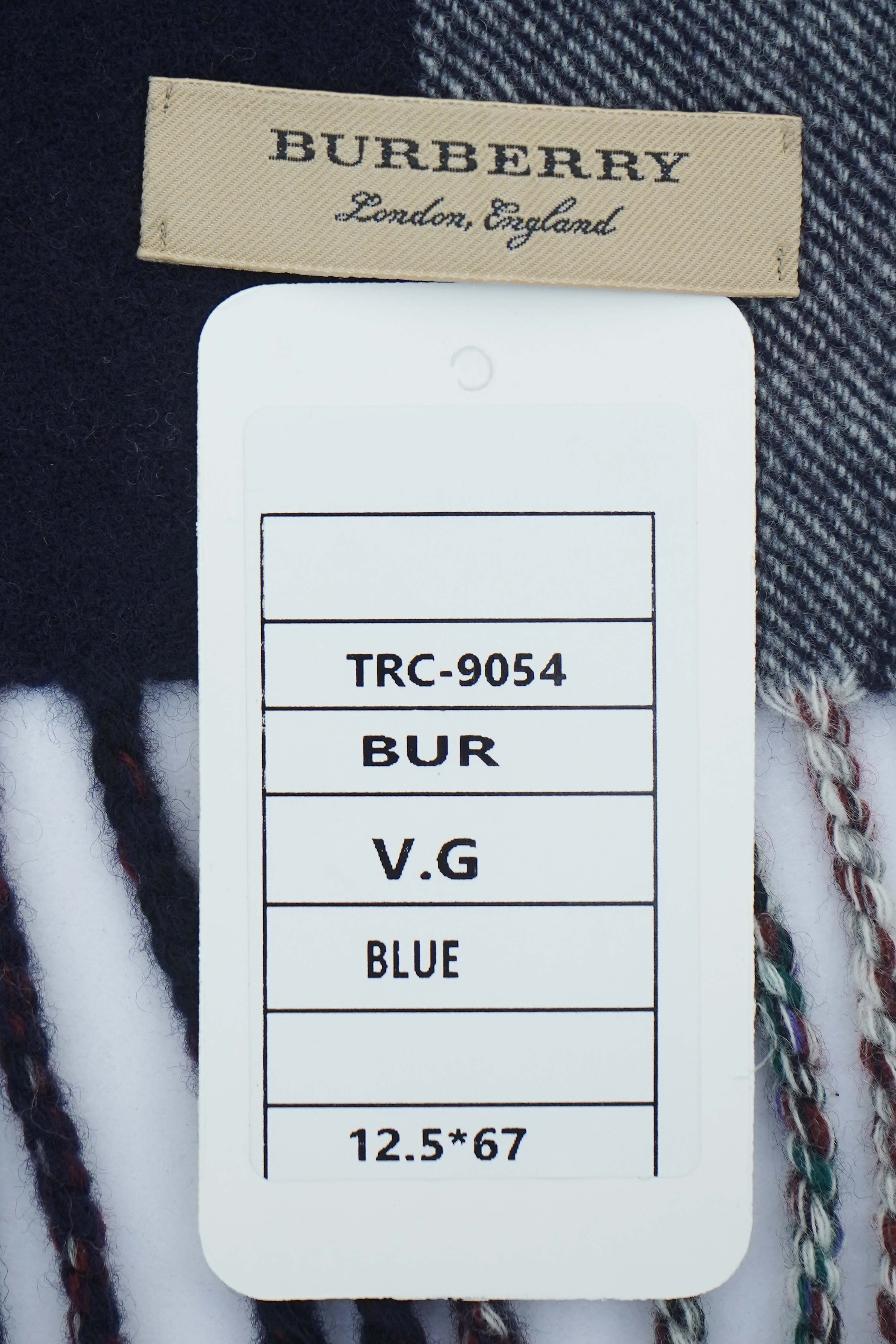 Burberry Blue Check Scarf (Pre-owned)